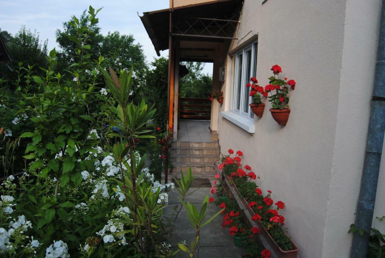 Casa Kelemen Apartment Sovata Exterior foto